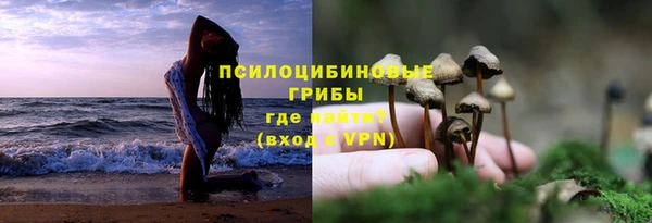 мдпв Куйбышев