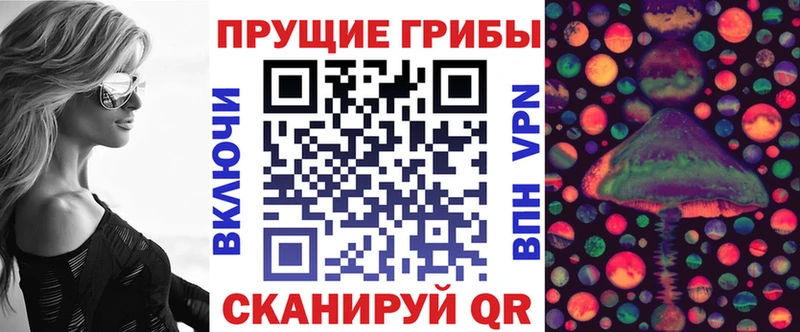 Купить закладки  Балей  Псилоцибиновые грибы мицелий 